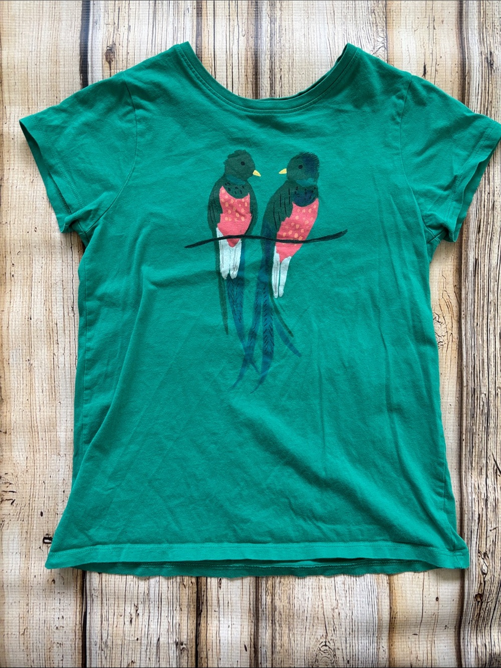 Tea Collection Teal Green Tee with Pink & Blue Parrot Print